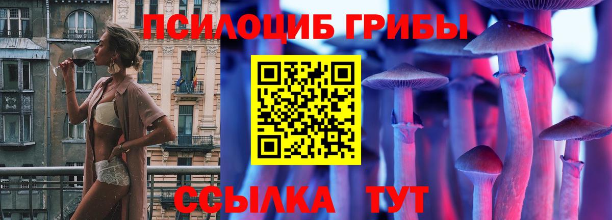 Псилоцибиновые грибы Psilocybe Новочеркасск